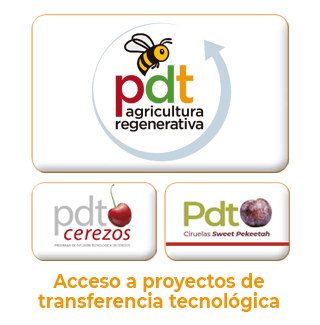 Acceso PDTs